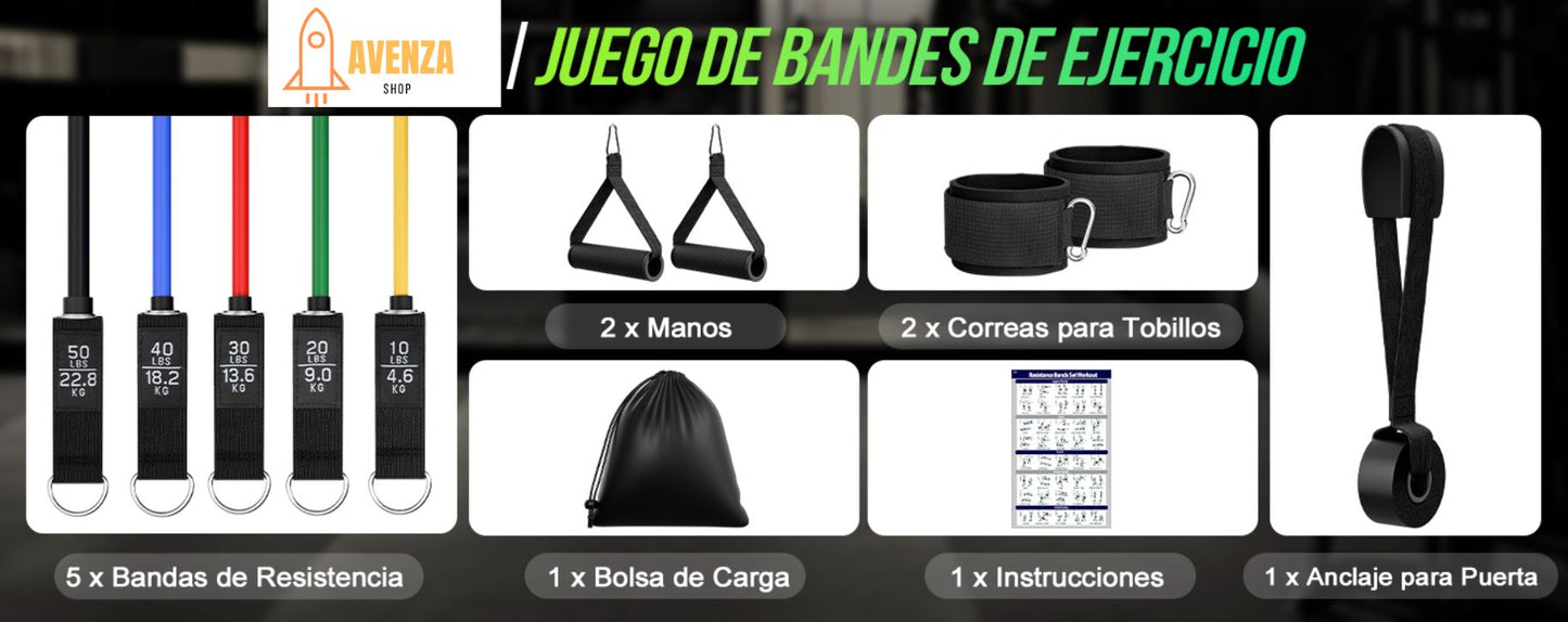PowerBands Pro Fitness + Bolsa y agarres gratis