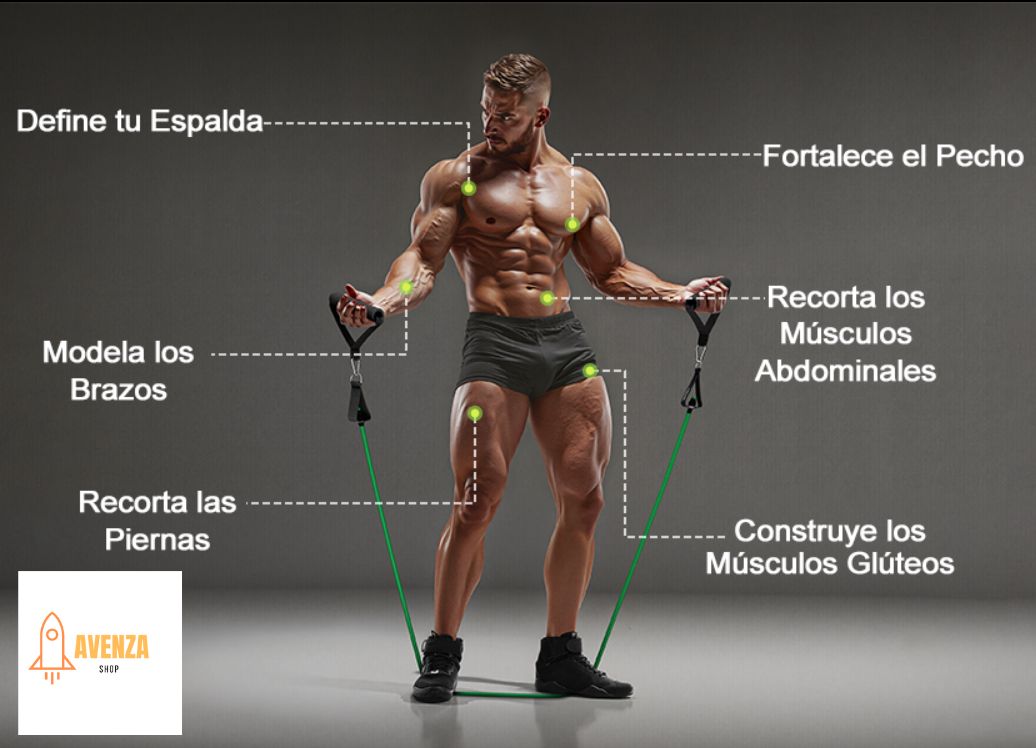 PowerBands Pro Fitness + Bolsa y agarres gratis